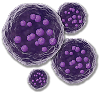 Microsponge delivery system technology